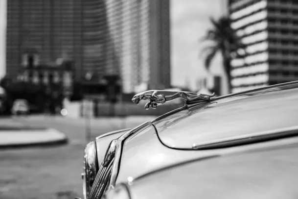 Kazino Loony Bingo Android/iOS Lietotne